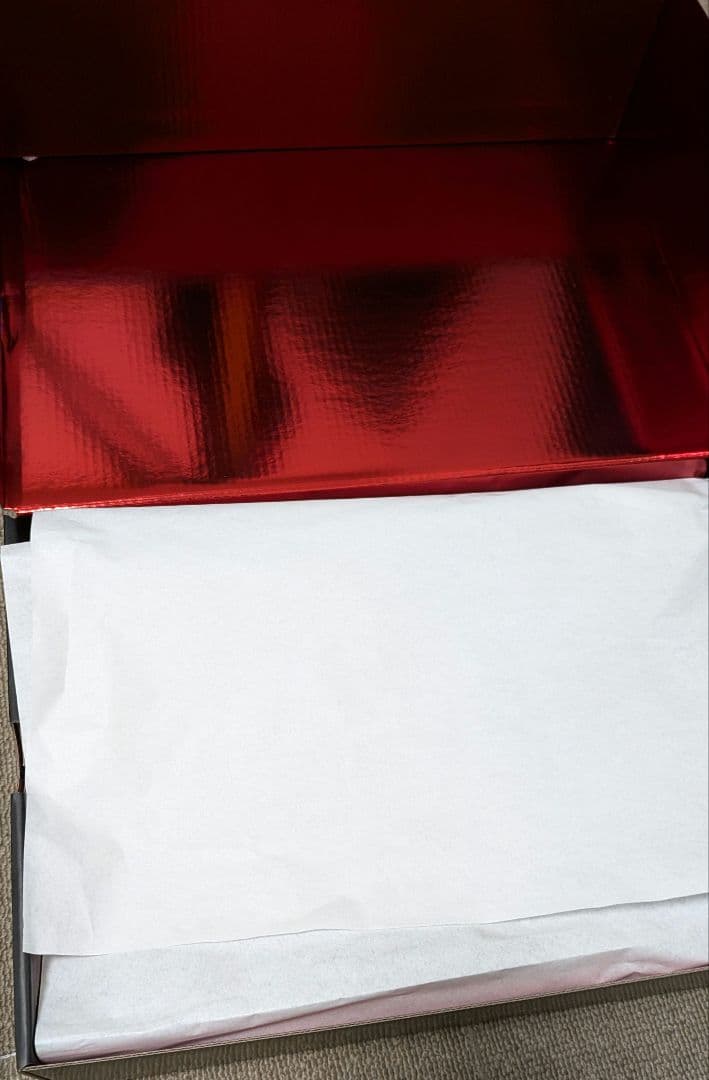 ナイキ　ティエンポ レジェンド 10 エリート LUXE FG