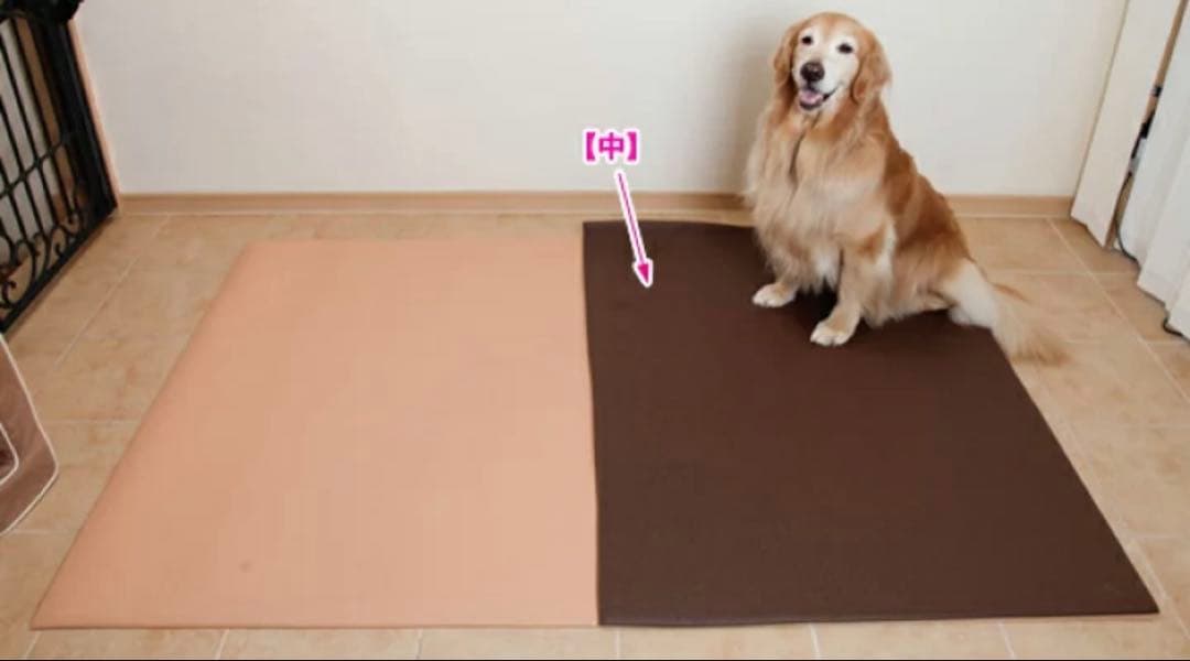 アイアンバロン　マルチマット ムニュ ブラウン　サイズ中