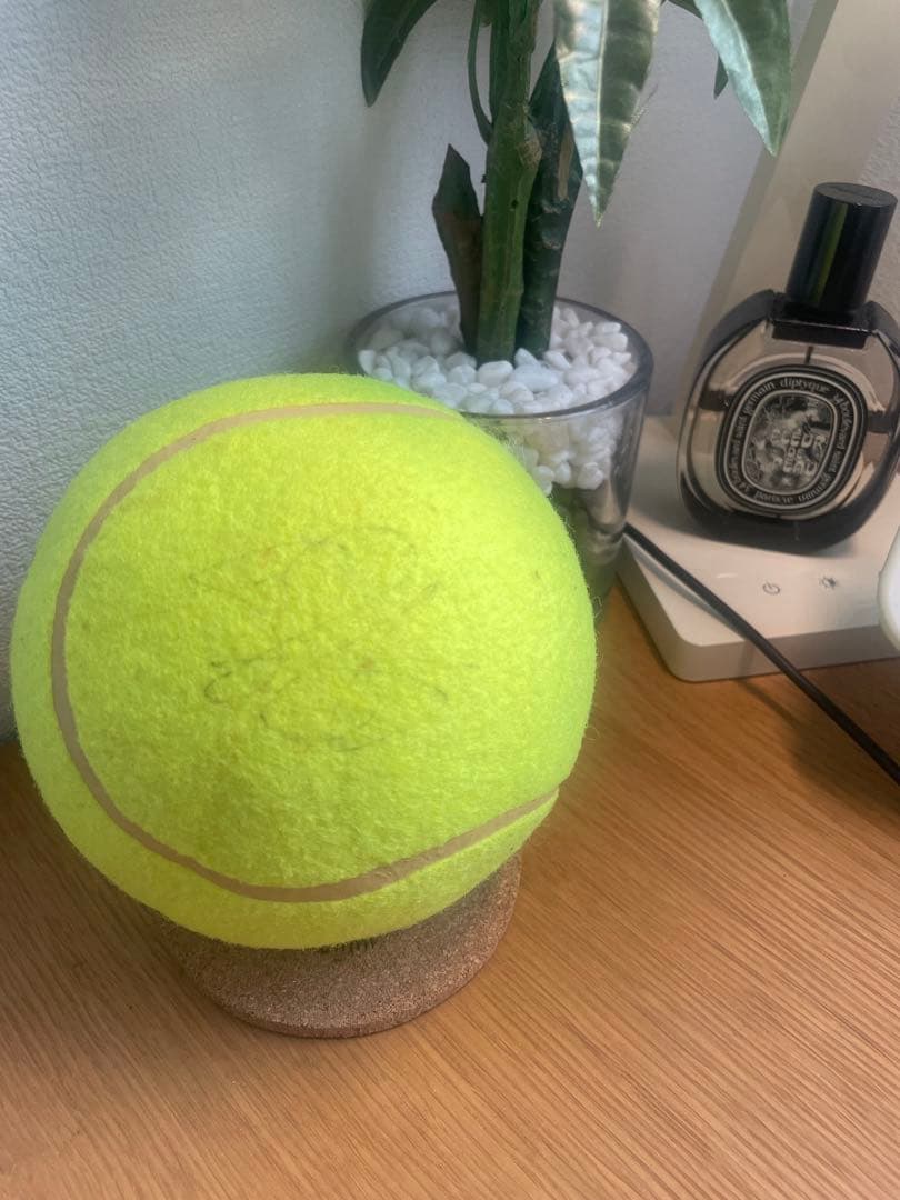 プロテニス選手サイン付きテニスボール‼️ROLAND GARROS 全仏オープン