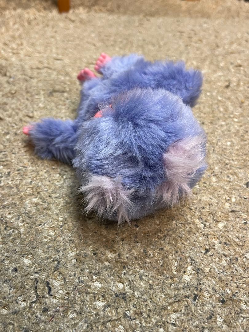 モンチッチ　レア　3体セット