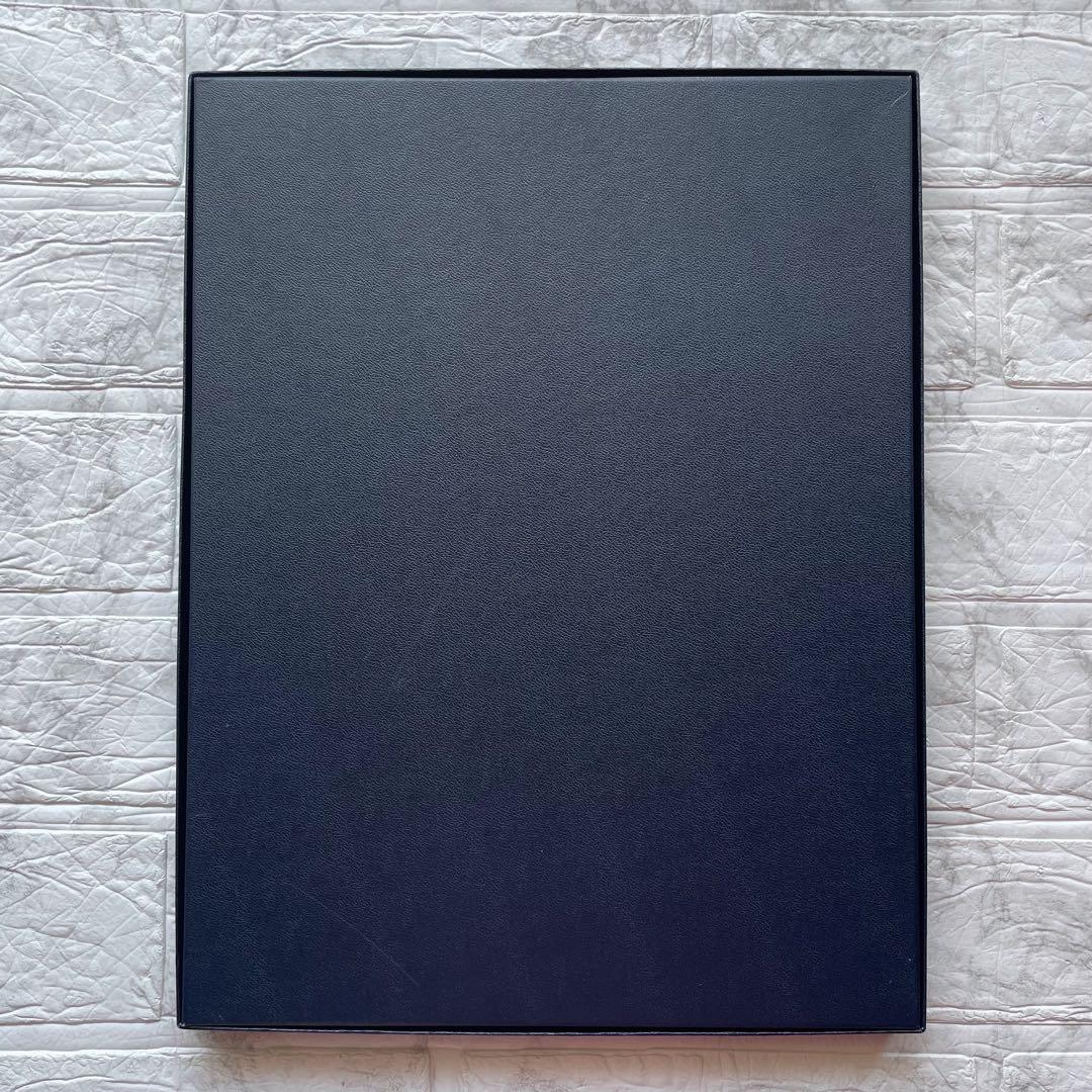 送料込み ASHFORD アシュフォード ソフトレザーファイル レインボーブリス