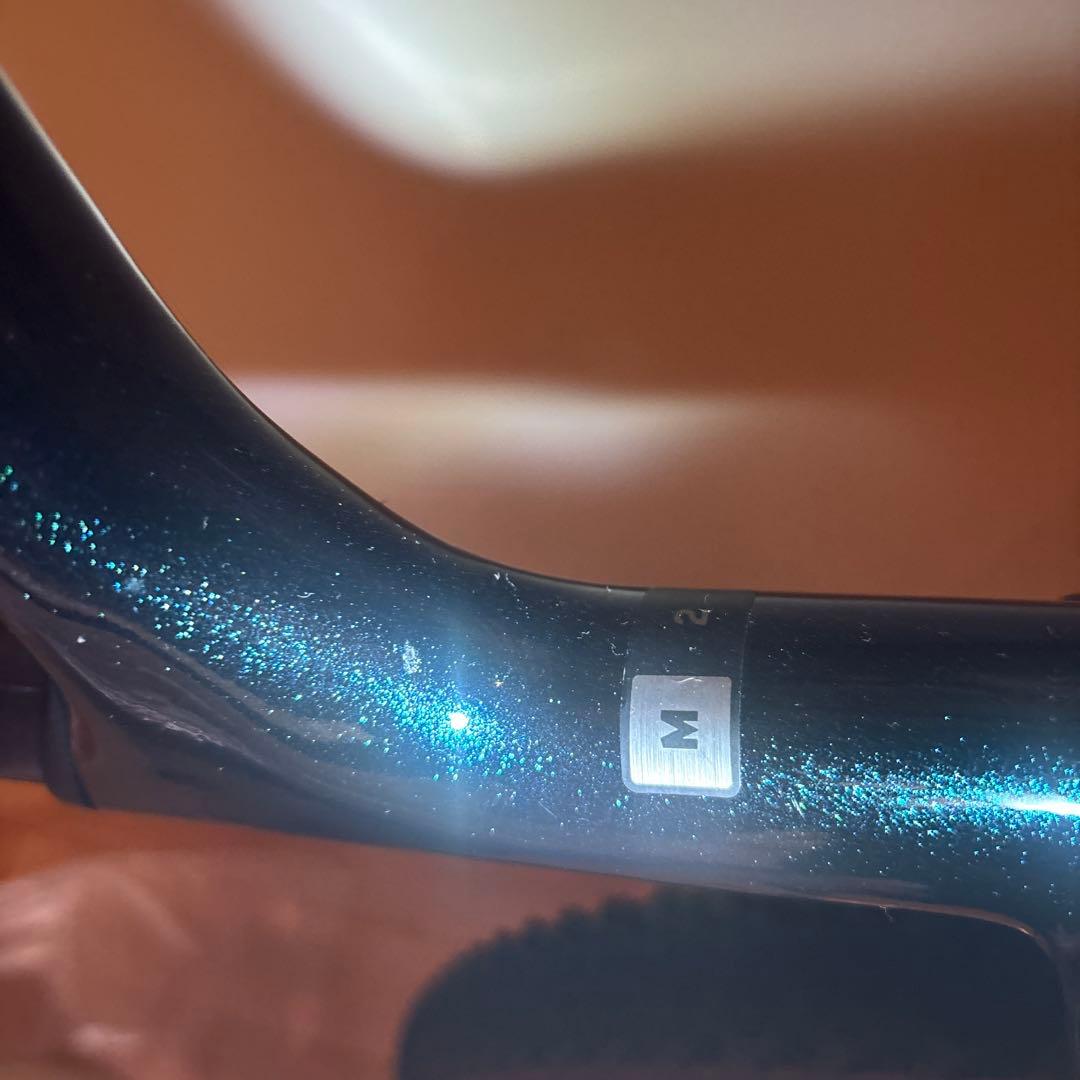 Giant revolt advanced2 2020 フルカーボン GRX