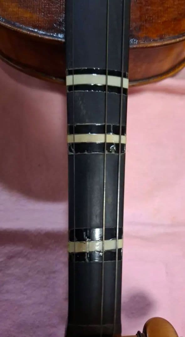 (エンリスク チェルティー 裏板のみ制作)のバイオリン