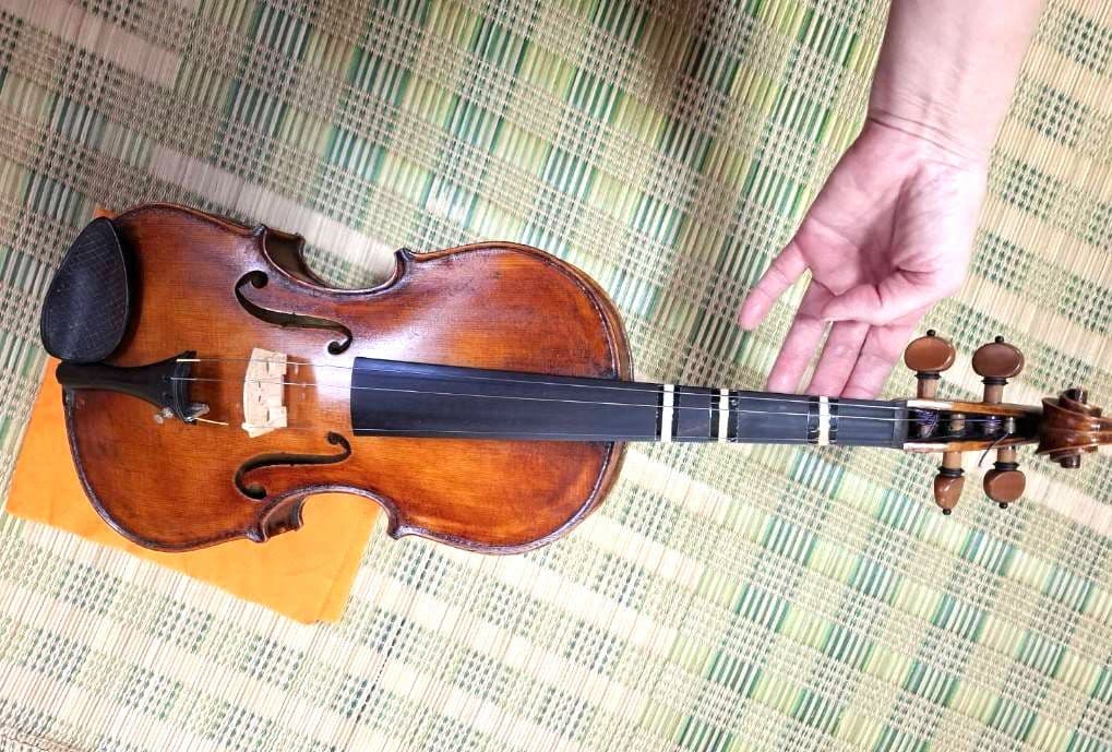 (エンリスク チェルティー 裏板のみ制作)のバイオリン