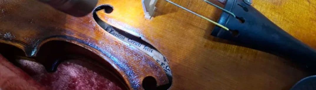 (エンリスク チェルティー 裏板のみ制作)のバイオリン