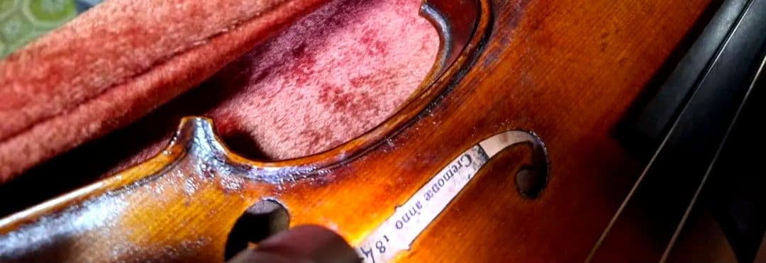 (エンリスク チェルティー 裏板のみ制作)のバイオリン