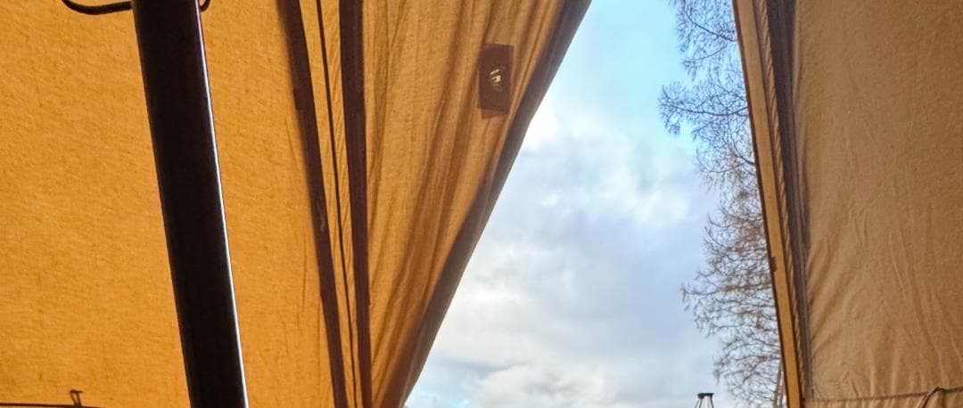 DOD レンコンテント2L