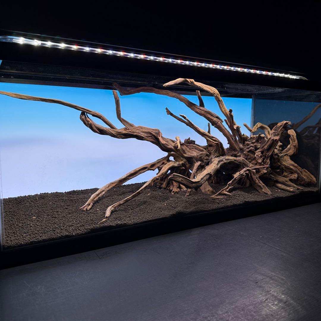MSRW-7080 天然流木レイアウトセット　スリムウッド　アクアリウム