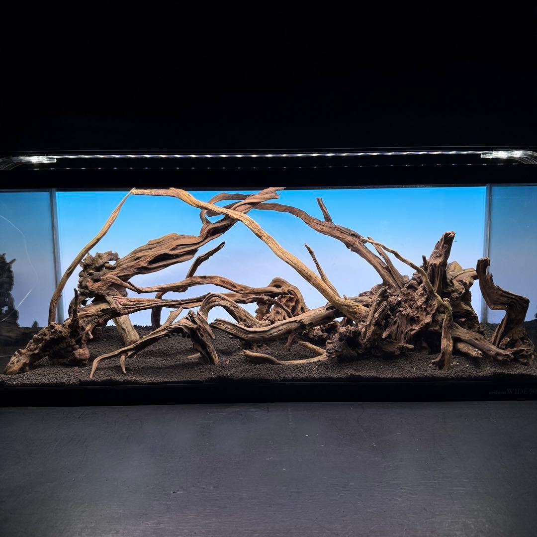 MSRW-7080 天然流木レイアウトセット　スリムウッド　アクアリウム