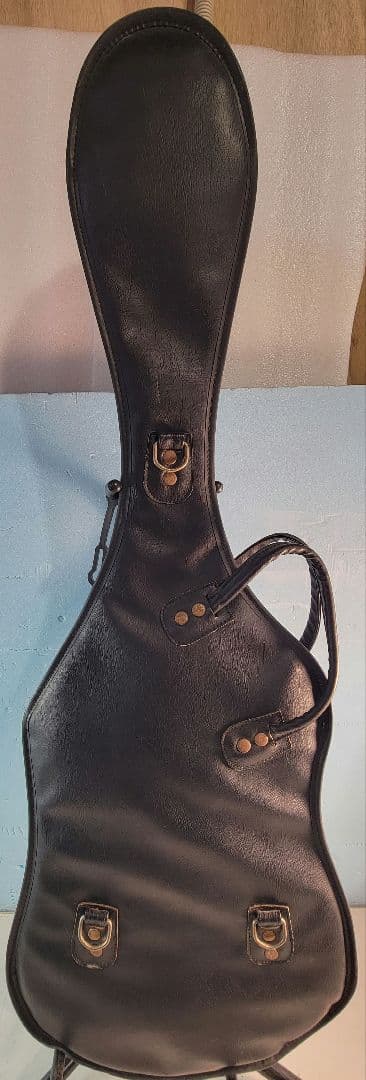 S.G. Galan ブラックレスポールタイプエレキギターソフトケース付