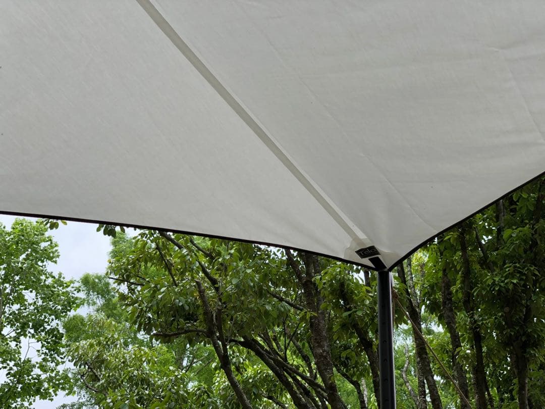 Telo looksveil ルックス ベール