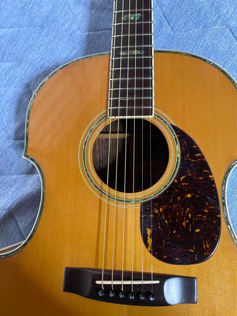 JAGARD VF600(VP60) バイオリンシェイブギター