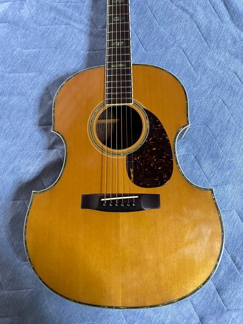 JAGARD VF600(VP60) バイオリンシェイブギター