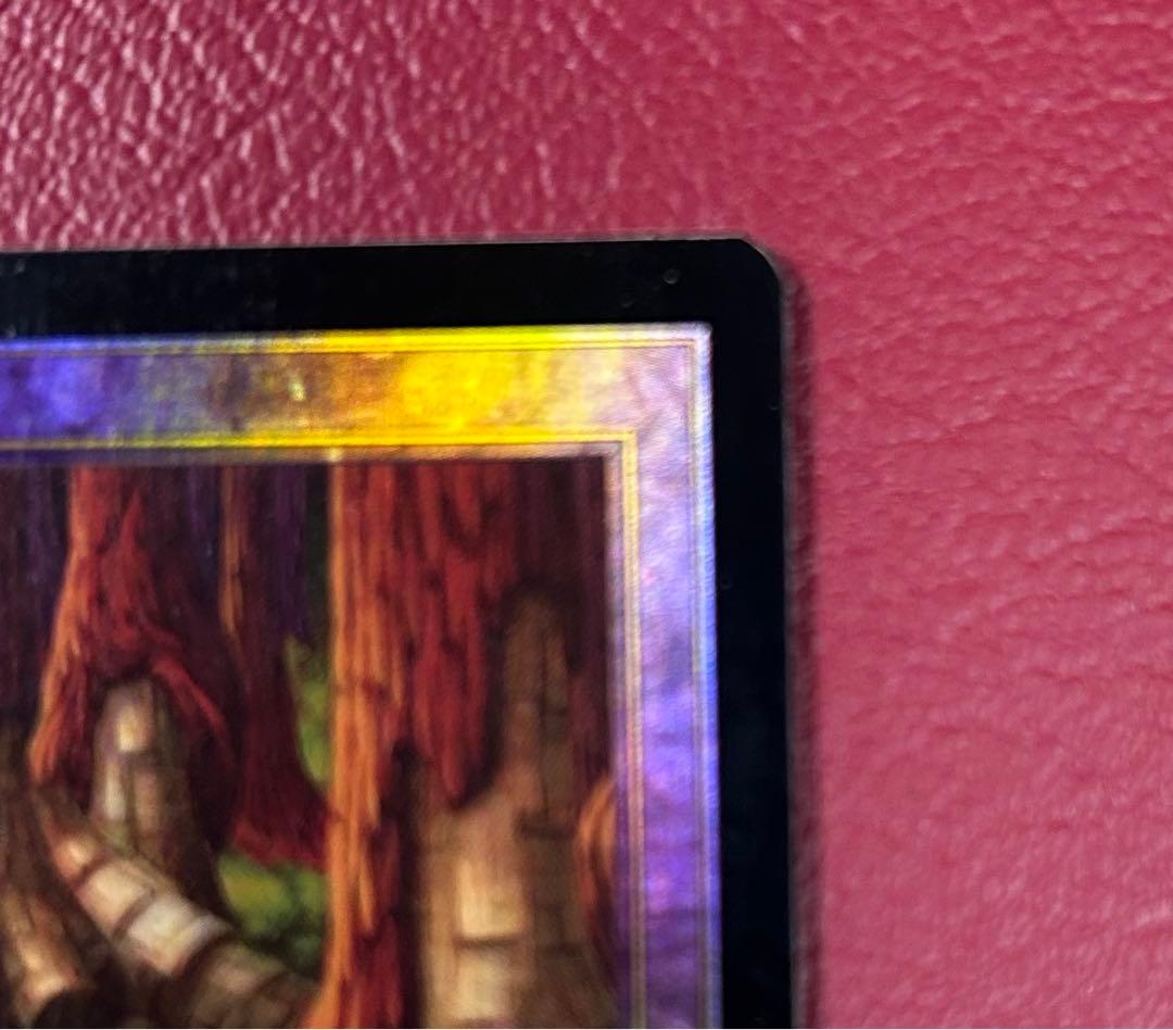 希少　中国語　Foil　カープルーザンの森　1枚