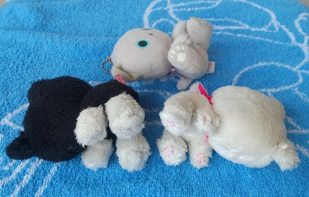 みかんぼうや　靴下にゃんこ　こげぱん　たれぱんだ　ぬいぐるみ　マスコット