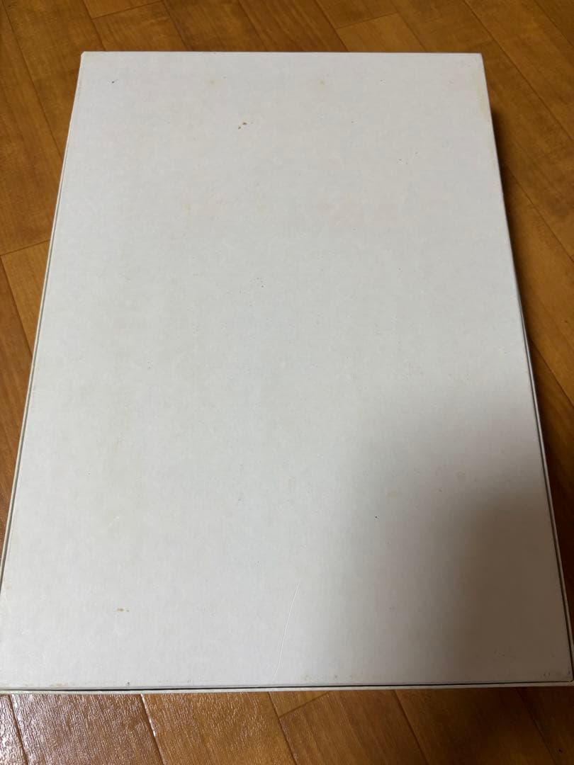 毱月絵美　ジグソーパズル　中古