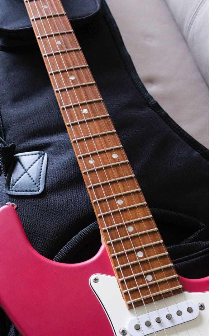 SAITO GUITARS【SR-22】