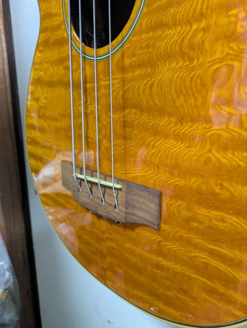 ZENN アコースティックベース フレットレスZB22CE-FL　ソフトケース付