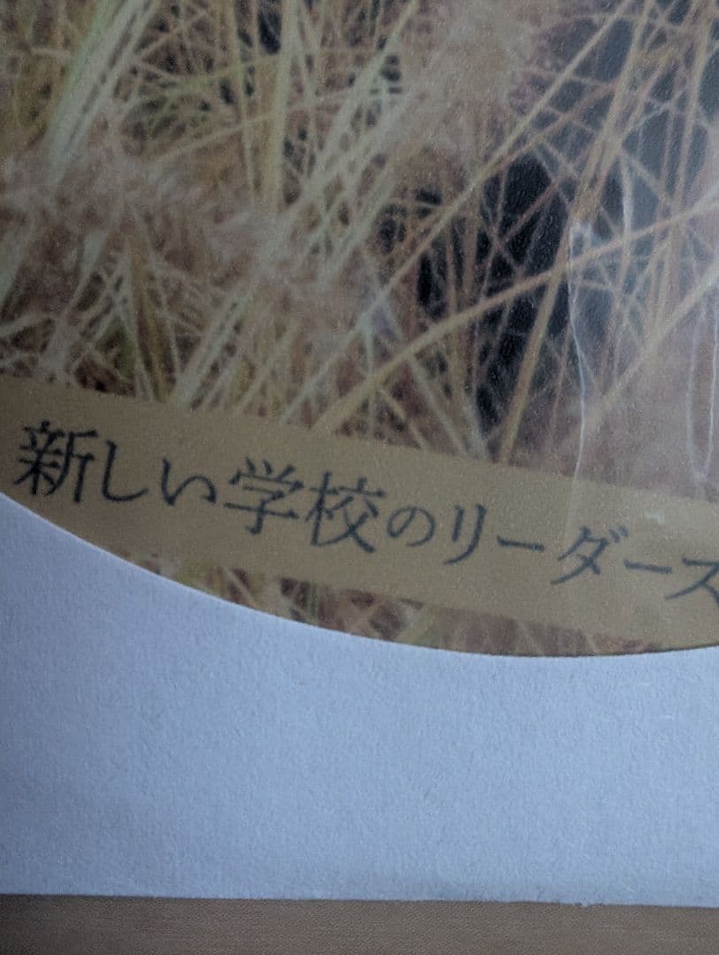 新しい学校のリーダーズ 売れてなかった時手売りしてたCＤ サイン入り 超超レア！