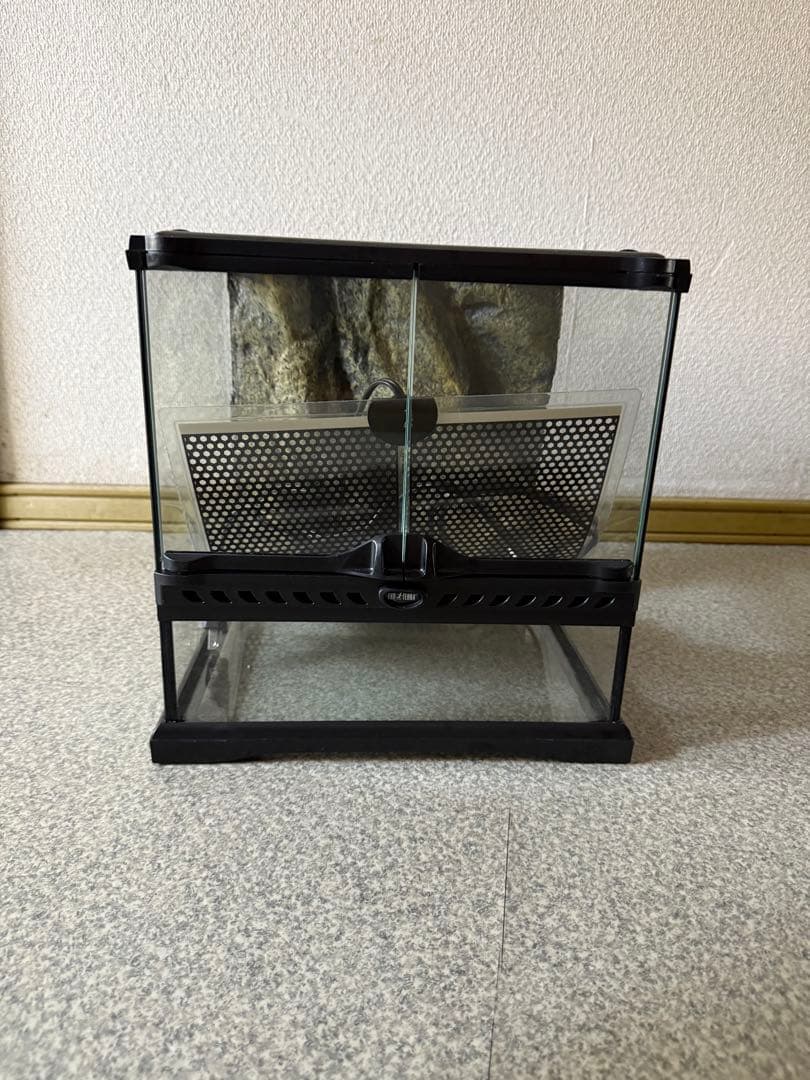 グラステラリウム3030 飼育セット