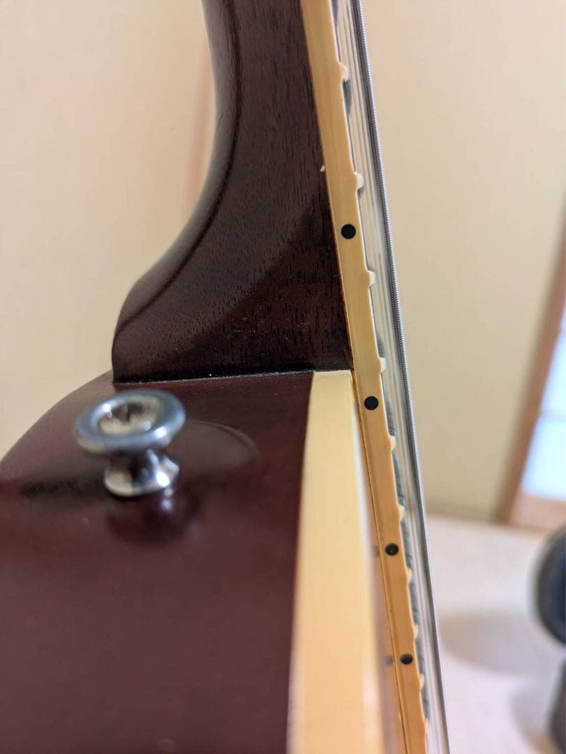 Gibson Les Paul STANDARD 50’s Faded