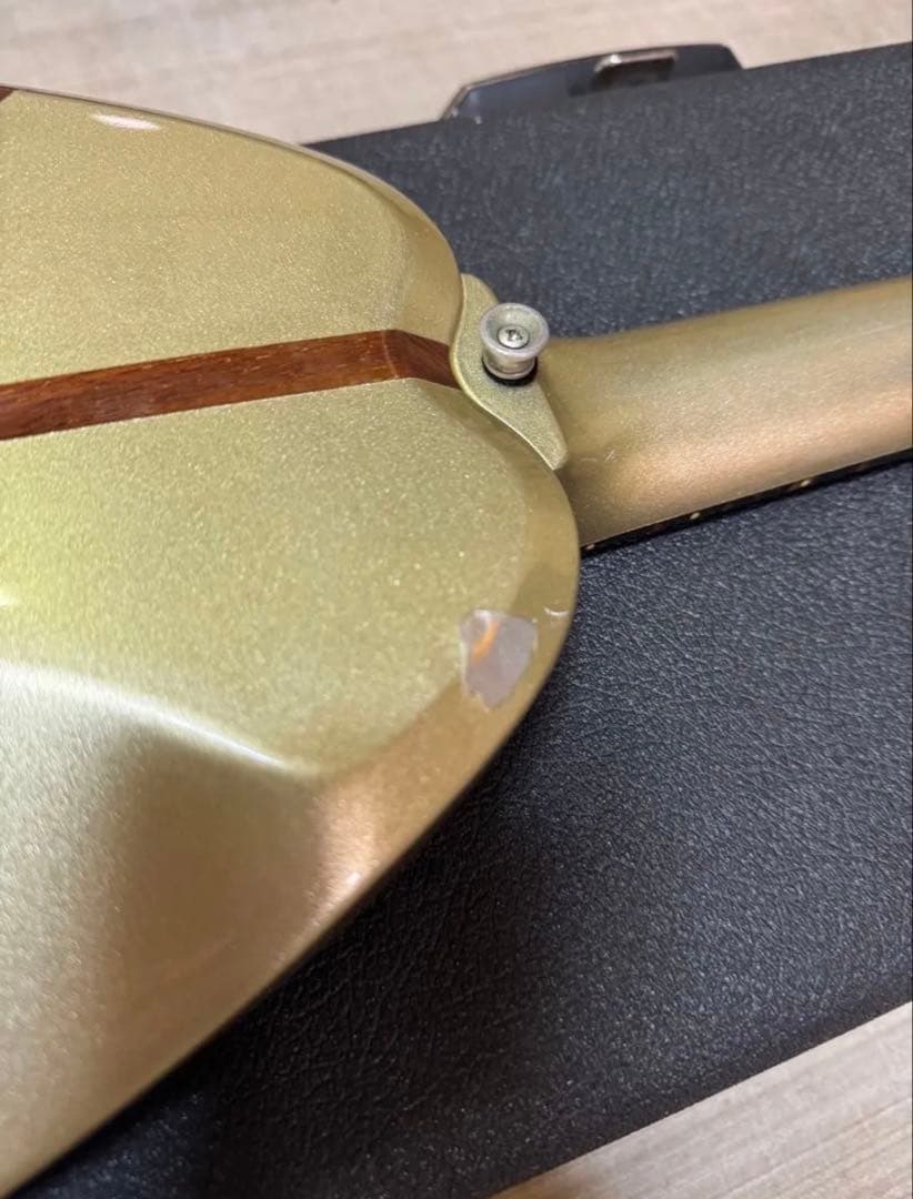 H.S.AndersonヒューストンAppleギター 希少 レア HS-A1