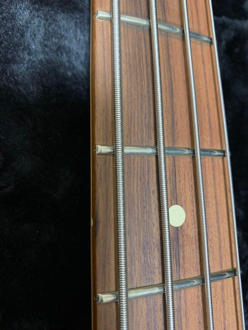 Fender Player Precision BassとGatorハードケース