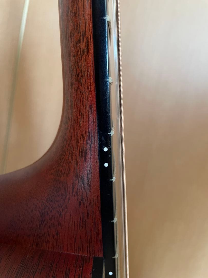 【説明・プロフ必読！】Martin & Co. D-16GT