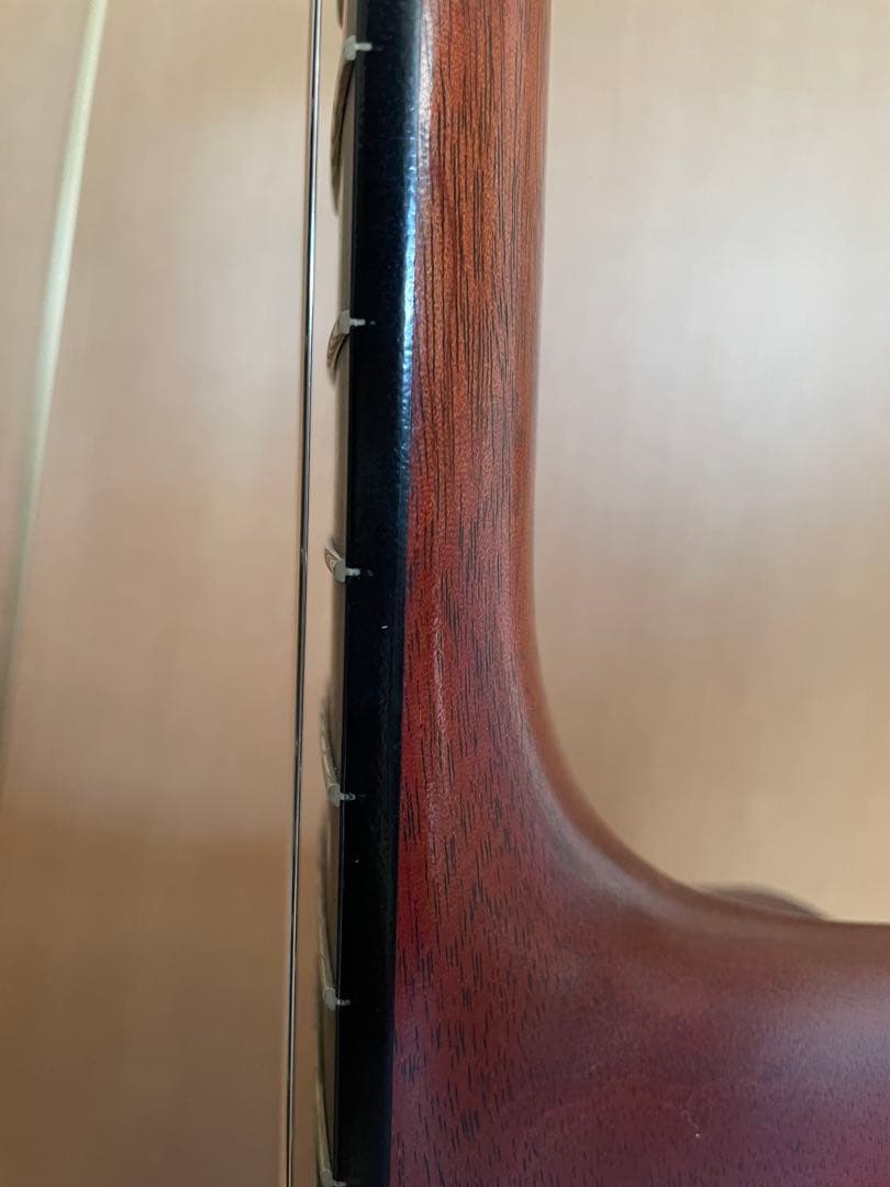 【説明・プロフ必読！】Martin & Co. D-16GT