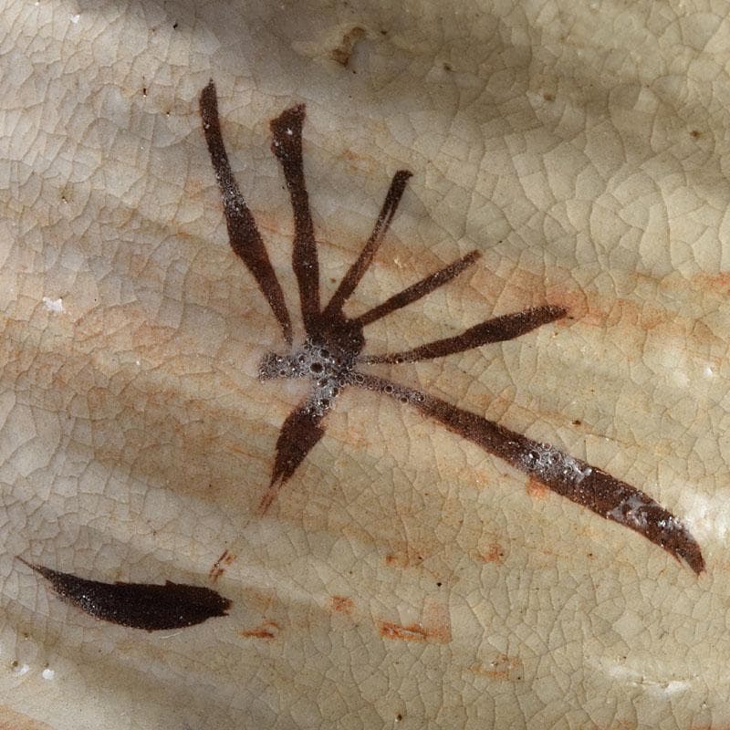 北大路魯山人作　志野焼　草文　水指　黒田陶々庵極め箱　D　R9297H