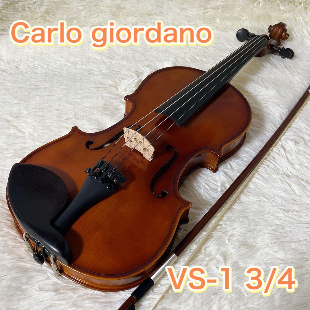 カルロジョルダーノ　VS-1 バイオリン　3/4サイズ