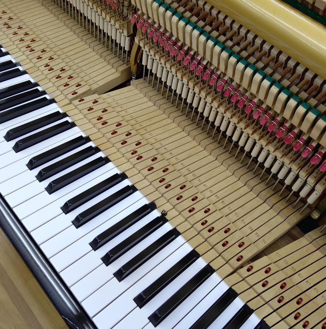 ディアパソン D-125MF【整調 /調律 /外装研磨美装済】試弾歓迎です！