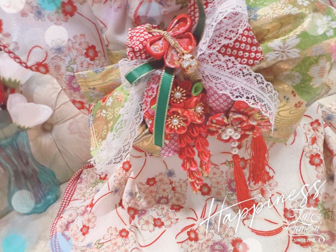 B420.pon2pan2☆オーダー☆犬お着物☆犬お引き摺りお着物