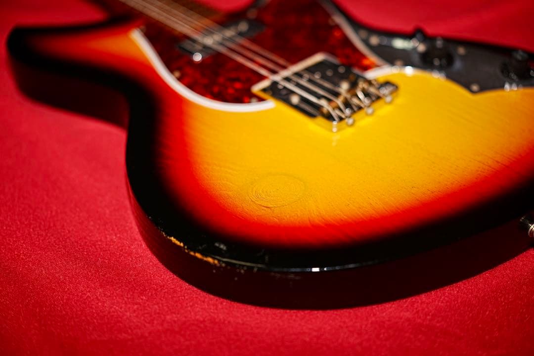 NOVO Serus T / 公式Insta掲載個体 / 3.13kg/fano