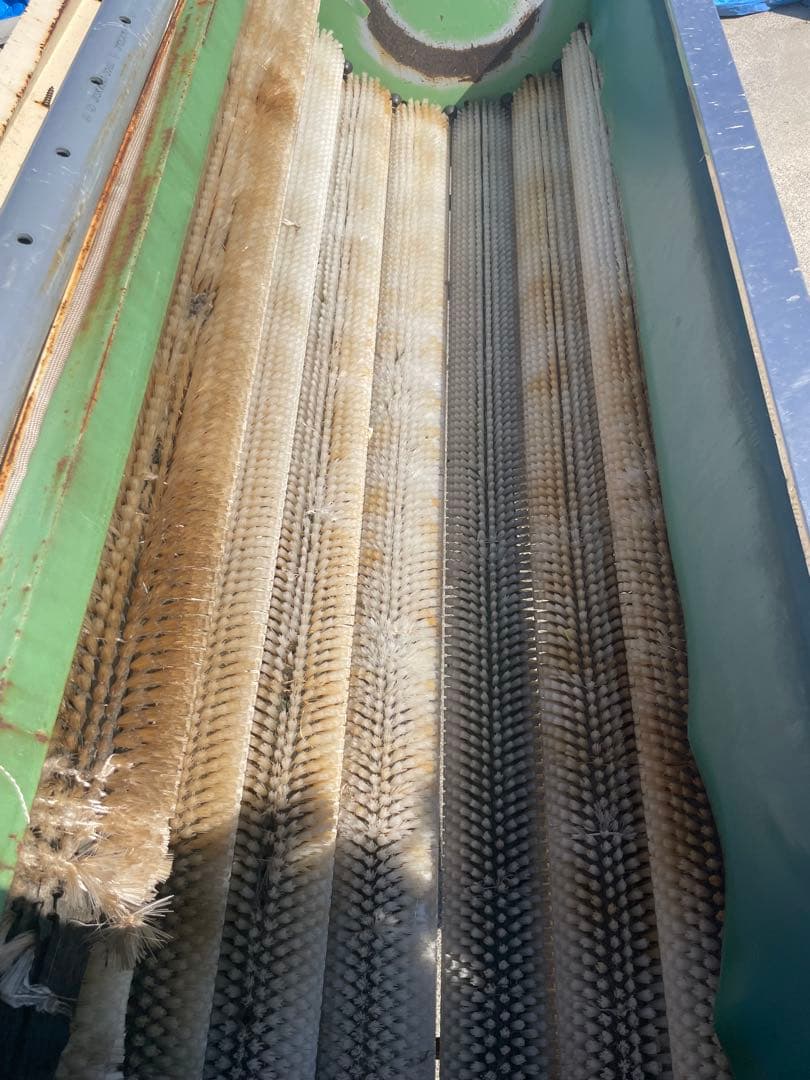 大根ニンジン洗浄機　サシナミ　DUW 150-8CF- 200V 中古