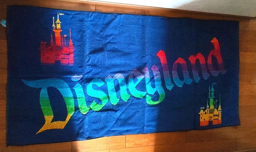 ディズニーランド ビーチタオル
