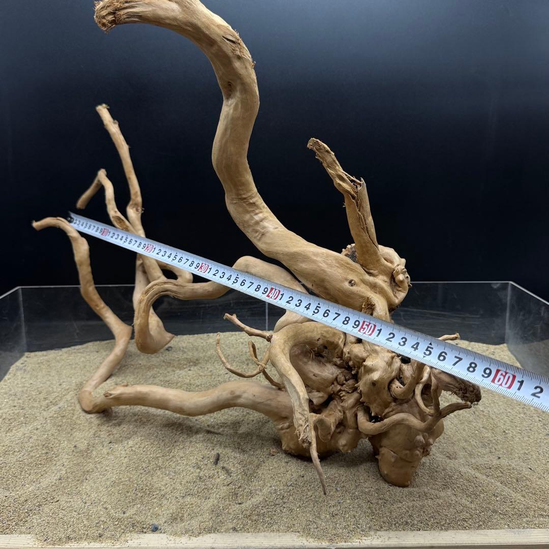 MDW-7000 特大ブランチウッド　流木　枝流木　アクアリウム