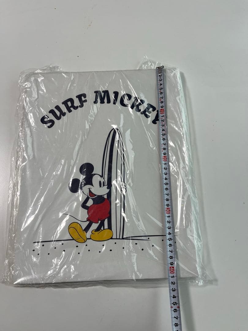 新品 サーフミッキー SURF MICKEY WALL CANVAS ART