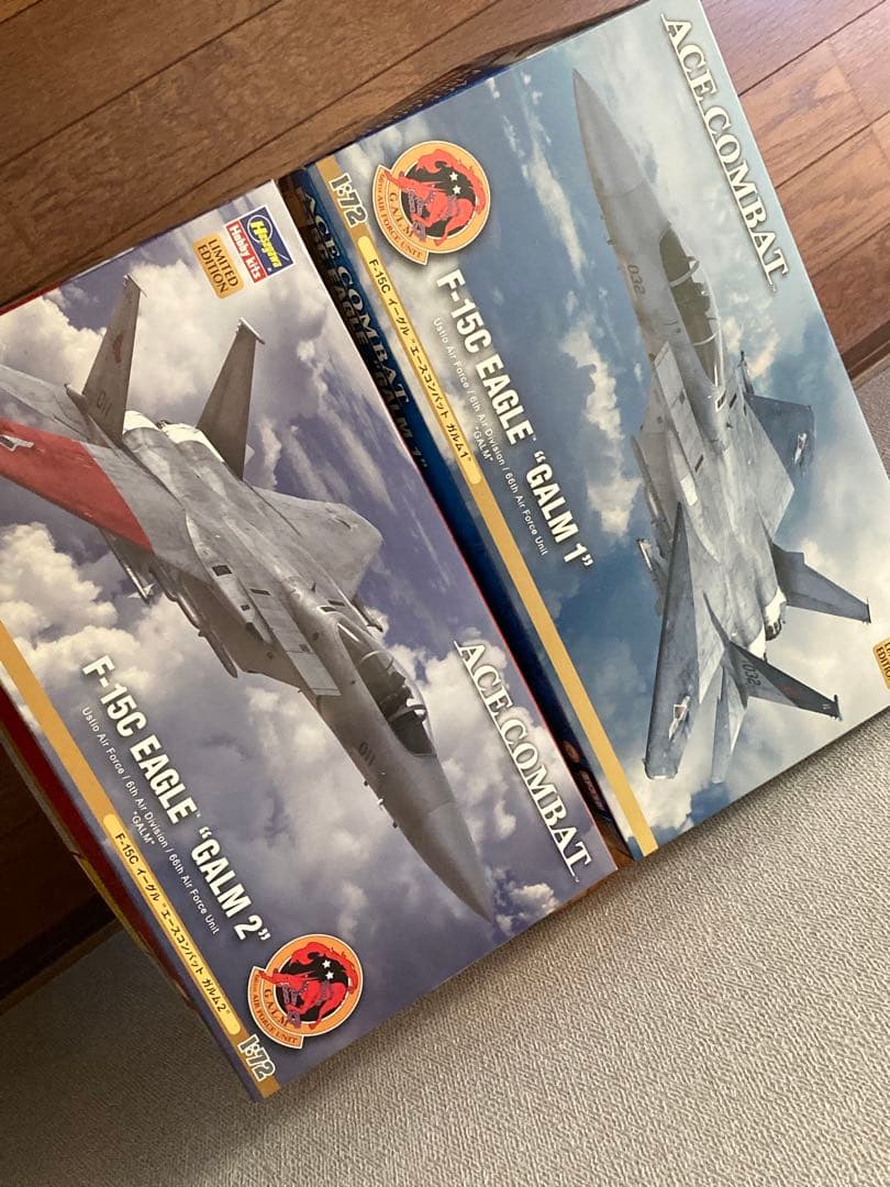ハセガワ　ACE COMBAT F-15C 1/72 プラモデル　2機セット