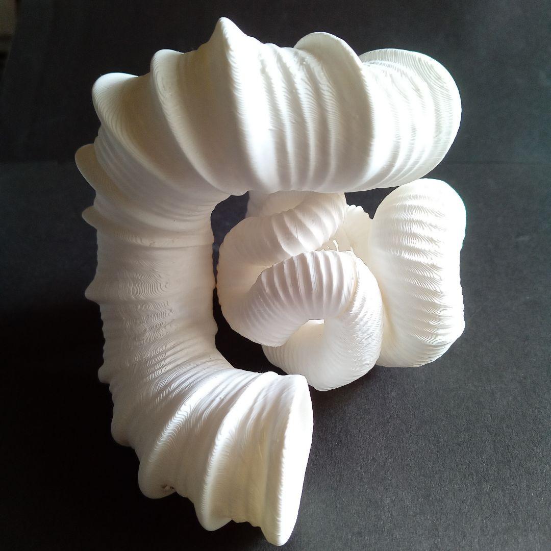 異常巻きアンモナイト　ニッポニテス　３Ｄモデル