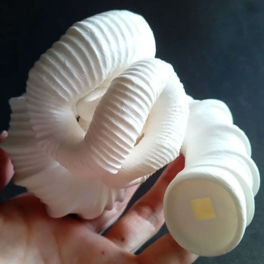 異常巻きアンモナイト　ニッポニテス　３Ｄモデル