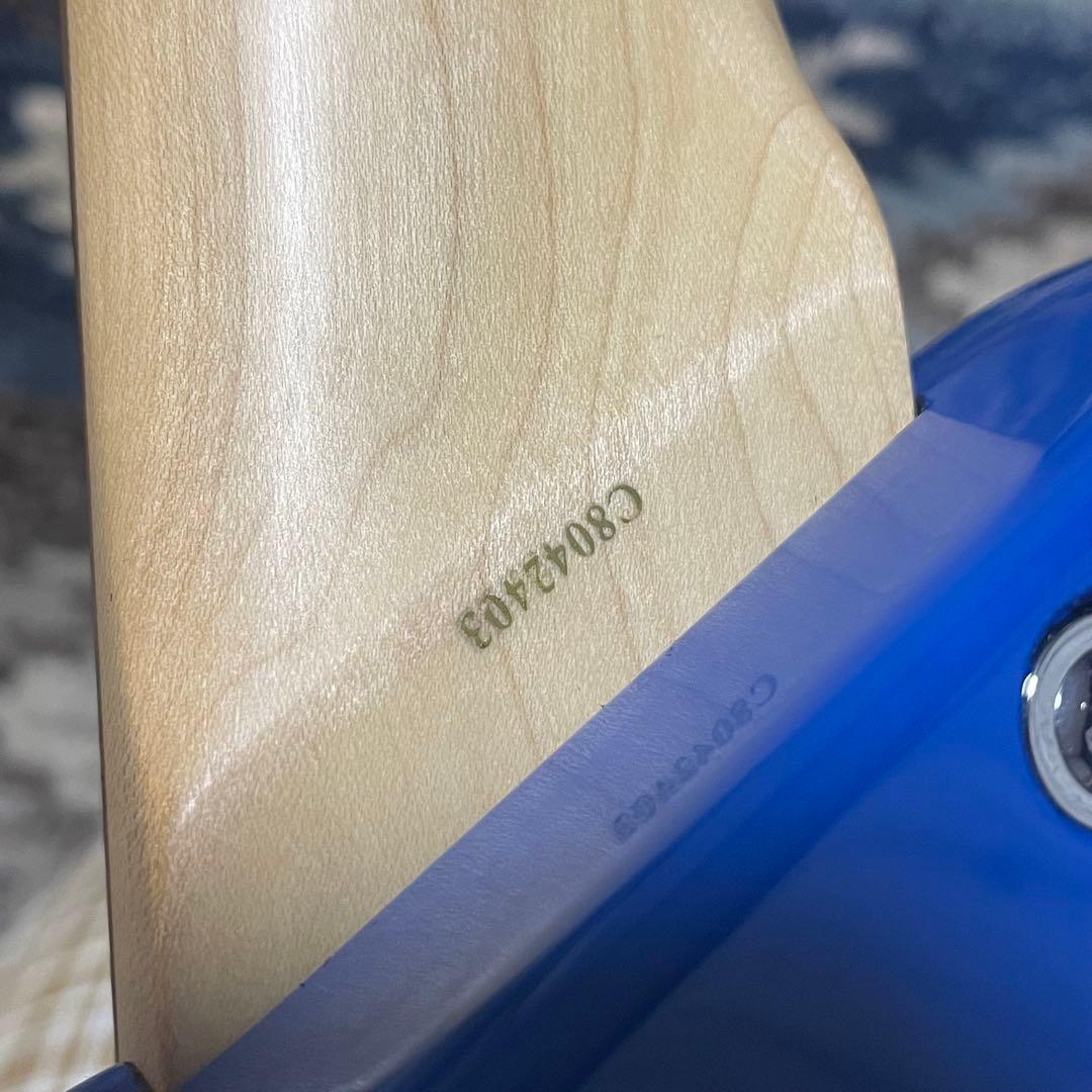 Pignose PGG-200 ブルー 純正ケース付き ピグノーズ ZO-3