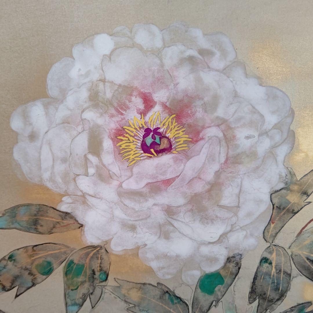 掛軸 『牡丹 』 常岡文亀