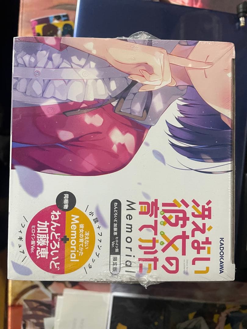 冴えない彼女の育てかた Memorial 限定版