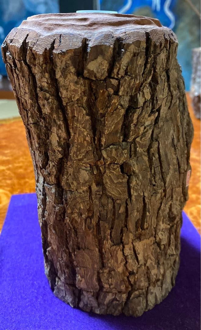 入手困難 新品　三本木森兵衛 A+Ω登り木止まり木