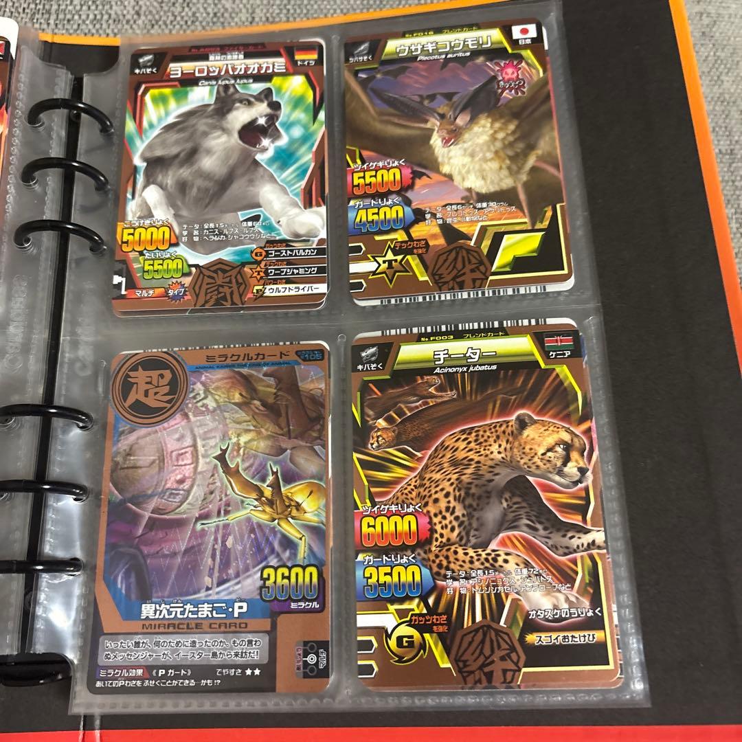 アニマルカイザーデータカードダスセット
