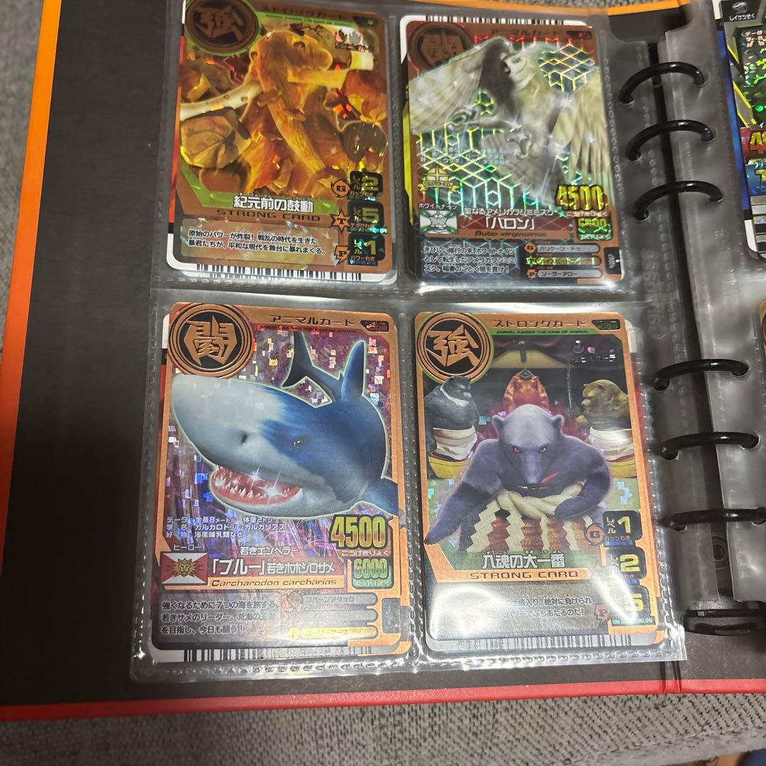 アニマルカイザーデータカードダスセット