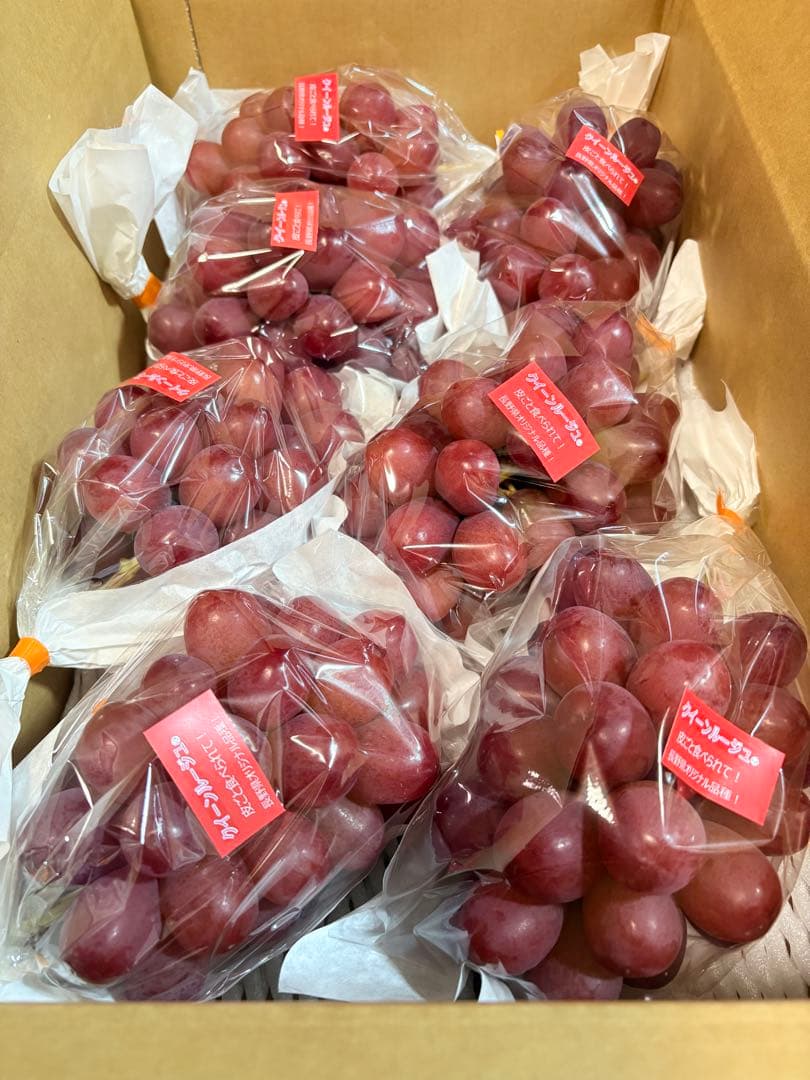 クイーンルージュ4キロ　長野県産