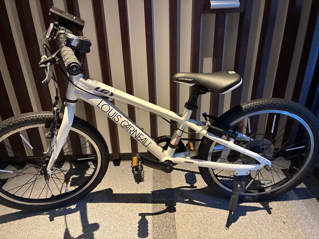 もんちゃん様【大阪発】ルイガノ LGS-J20 20インチ シマノ6速