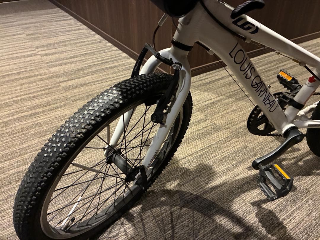 もんちゃん様【大阪発】ルイガノ LGS-J20 20インチ シマノ6速